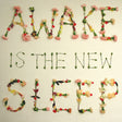 Ben Lee - Awake is the new sleep (CD) - Velvet Music