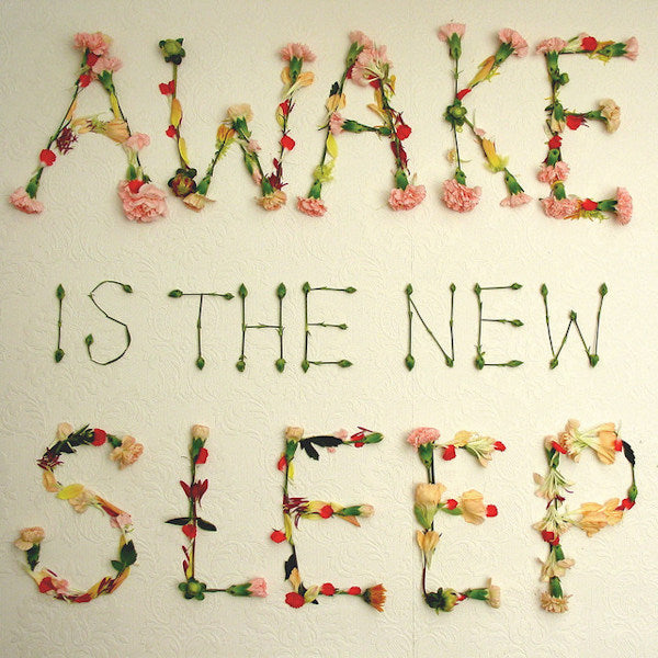 Ben Lee - Awake is the new sleep (CD) - Velvet Music