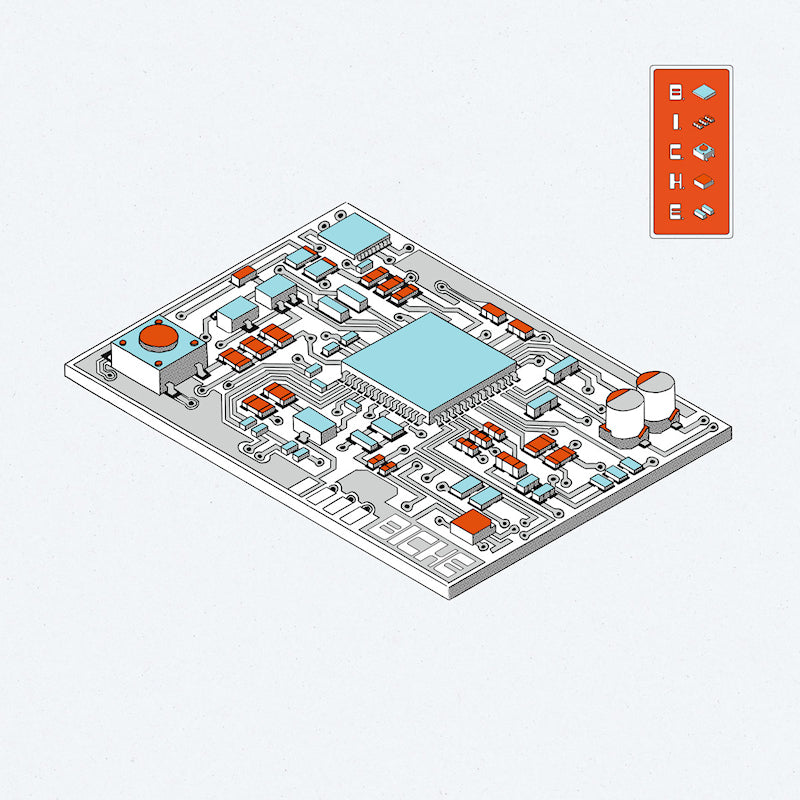 Biche - B.i.c.h.e. (LP)