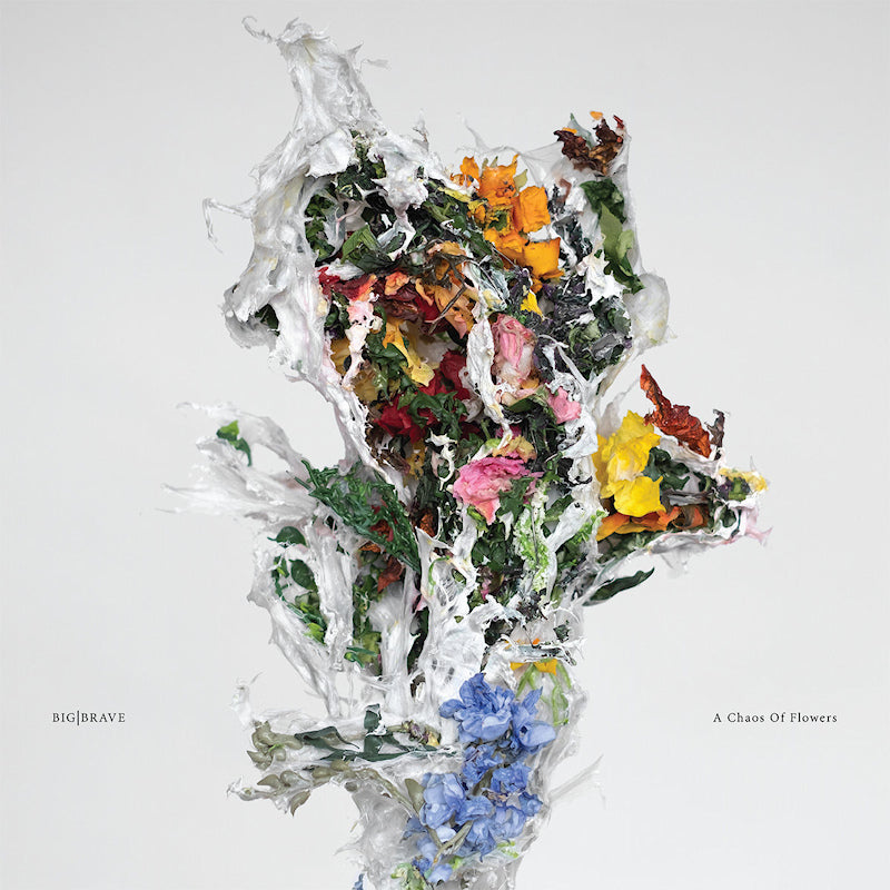 Big Brave - A chaos of flowers (LP) - Velvet Music