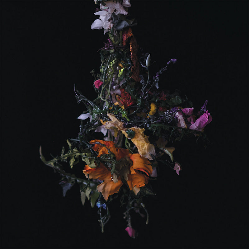 Big Brave - Nature morte (LP)