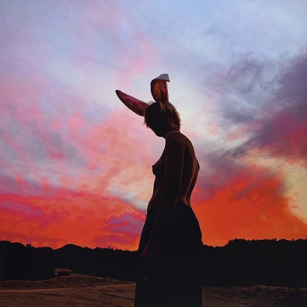 Biig Piig - Sky is bleeding (LP) - Velvet Music