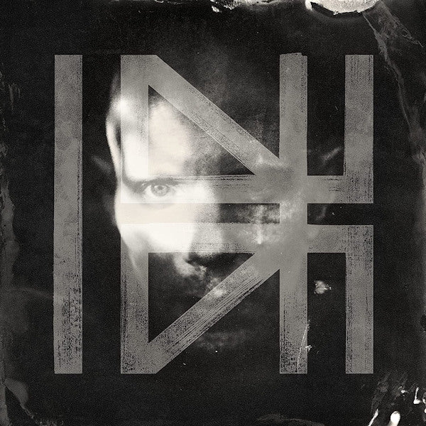 Billy Howerdel - What normal was (LP)
