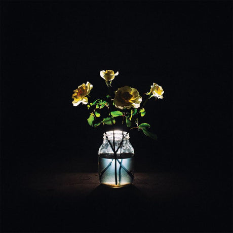 Billy Strings - Renewal (CD) - Velvet Music