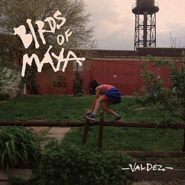 Birds Of Maya - Valdez (LP) - Velvet Music