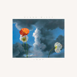 Blake Mills - Look (LP) - Velvet Music