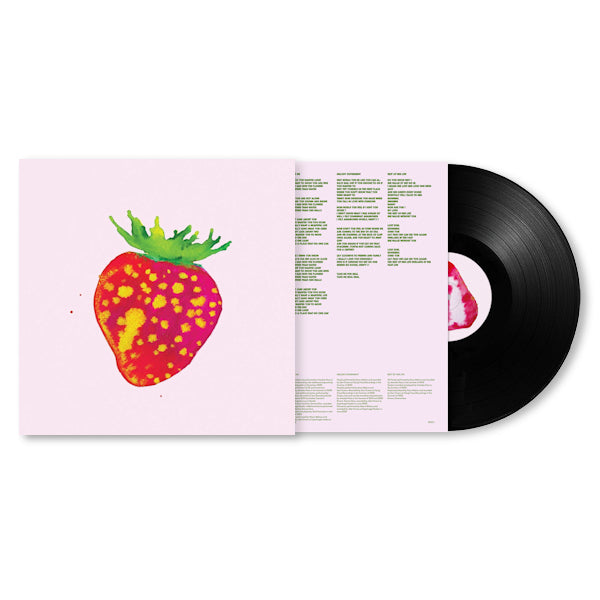 Blonde Redhead - Sit down for dinner (LP)