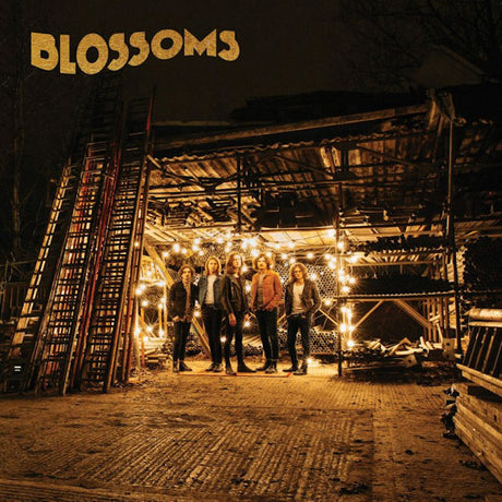 Blossoms - Blossoms (LP) - Velvet Music