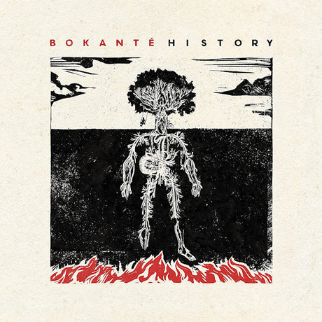 Bokante - History (CD) - Velvet Music
