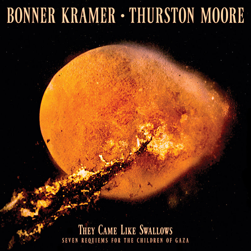 Bonner Kramer & Thurston Moore - They came like swallows - seven requiems for the childa (LP) - Velvet Music