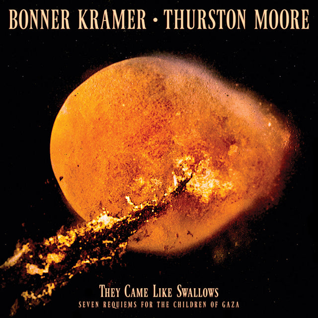 Bonner Kramer & Thurston Moore - They came like swallows - seven requiems for the childa (LP) - Velvet Music