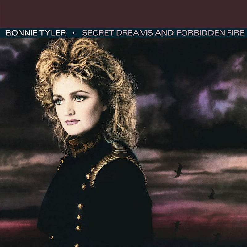 Bonnie Tyler - Secret dreams and forbidden fire (LP) - Velvet Music
