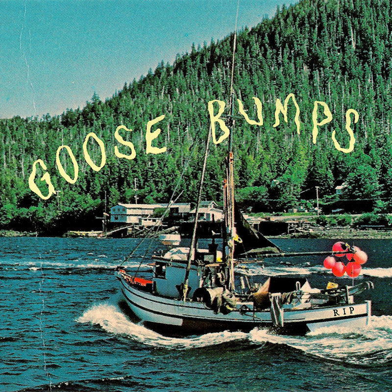 Boyscott - Goose bumps (LP) - Velvet Music