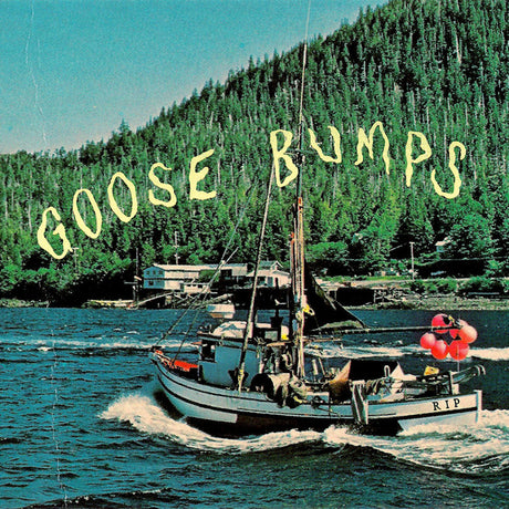 Boyscott - Goose bumps (LP) - Velvet Music