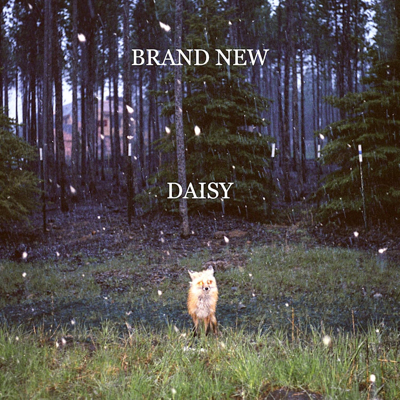 Brand New - Daisy (LP)