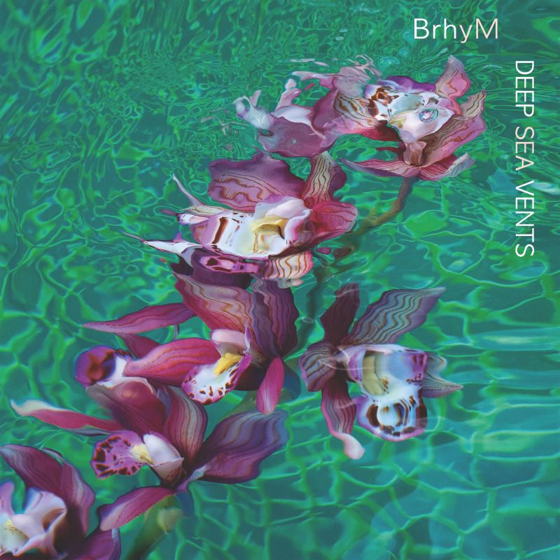 BrhyM - Deep sea vents (CD) - Velvet Music