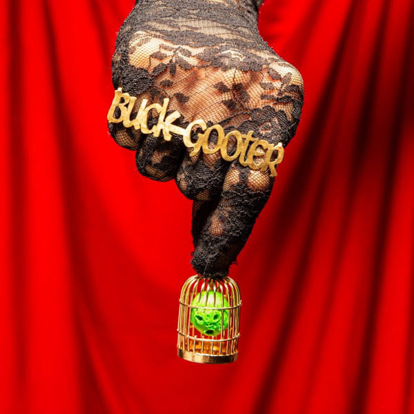 Buck Gooter - Head in a bird cage -download- (LP) - Velvet Music