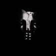 Bullet For My Valentine - Bullet for my valentine (LP) - Velvet Music
