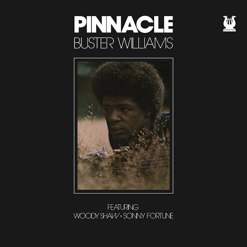 Buster Williams - Pinnacle (LP) - Velvet Music