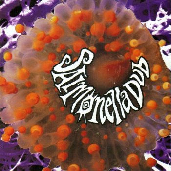 Salmonella Dub - Salmonella Dub (tweedehands CD) - Velvet Music