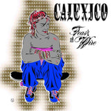 Calexico - Feast of wire (LP)