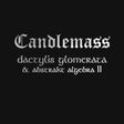 Candlemass - Dactylis glomerata & abstrakt algebra ii (CD) - Velvet Music