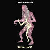 Chad Vangaalen - Shrink dust (CD) - Velvet Music