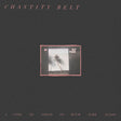 Chastity Belt - I used to spend so much time alone (LP) - Velvet Music
