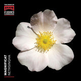 Choir Of St. John's College Cambridge - Magnificat (CD)