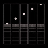 Circles Around The Sun - Let it wander (LP) - Velvet Music