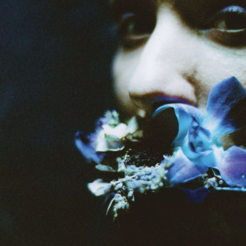 Circuit Des Yeux - Reaching for indigo (LP) - Velvet Music