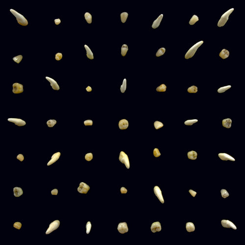 Clipping. - Visions of bodies being burned (CD) - Velvet Music