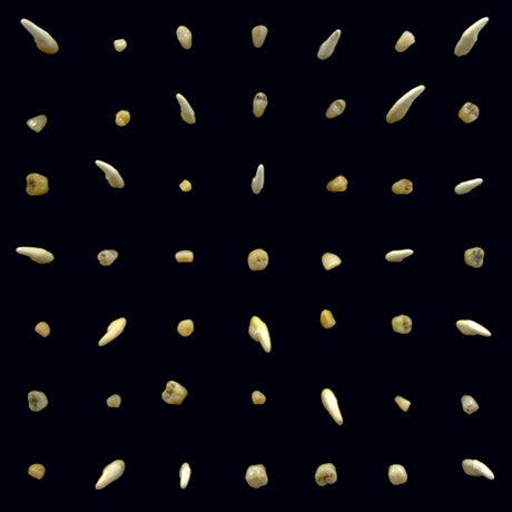 Clipping. - Visions of bodies being burned (CD) - Velvet Music