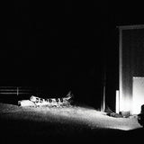 Cloud Nothings - Last building burning (CD) - Velvet Music