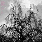 Colin Stetson - Never were the way she was (CD)