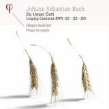 Johann Sebastian Bach - Du treuer gott - leipzig cantatas bwv 101, 103 & 115 (CD)