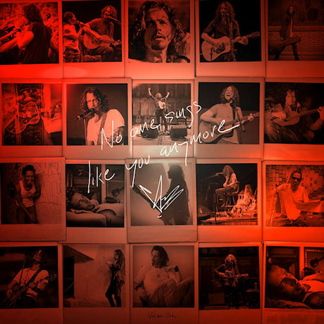 Chris Cornell - No one sings like you anymore (LP)