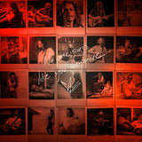 Chris Cornell - No one sings like you anymore (LP)