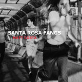 Matt Costa - Santa rosa fangs (CD)