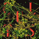 Cults - Host (LP) - Velvet Music