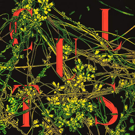 Cults - Host (CD) - Velvet Music