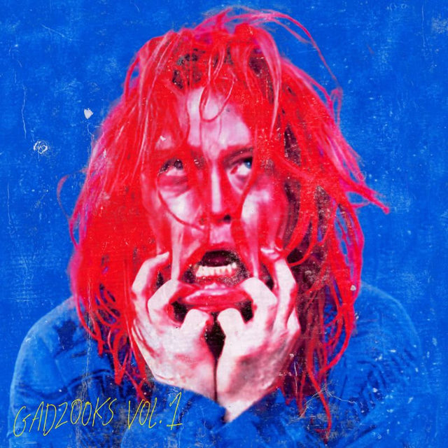 Caleb Landry Jones - Gadzooks vol. 1 (LP) - Velvet Music