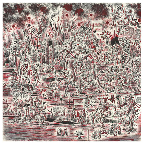 Cass McCombs - Big wheel and others (LP) - Velvet Music