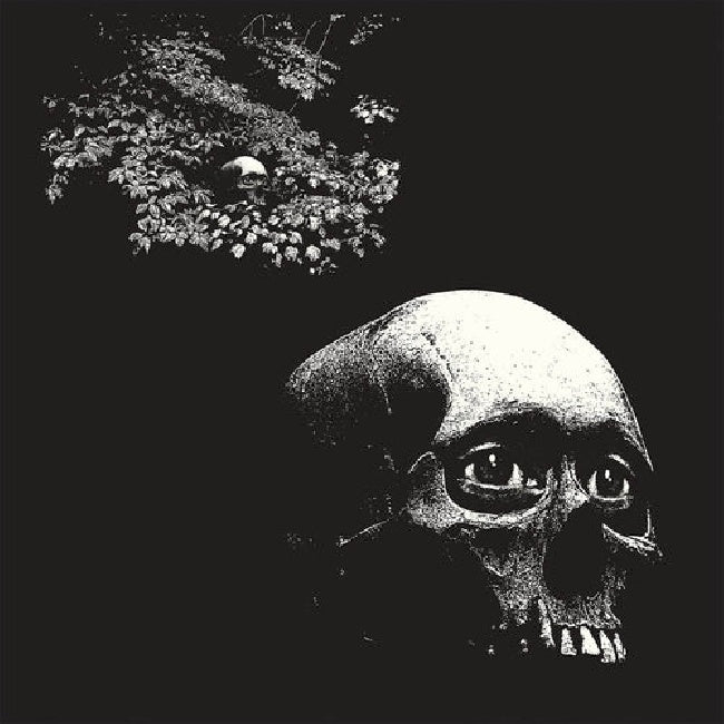 Osees - A foul form (LP) - Velvet Music