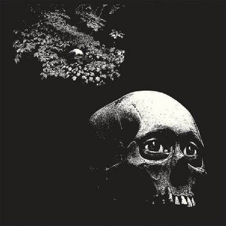 Osees - A foul form (LP) - Velvet Music