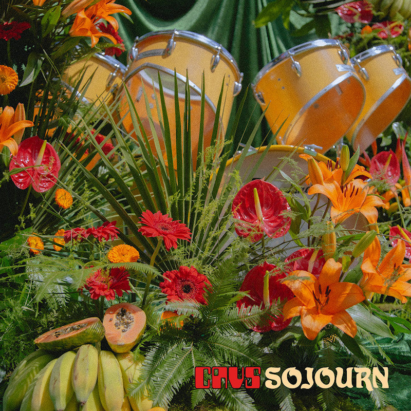 Cavs - Sojourn (LP) - Velvet Music