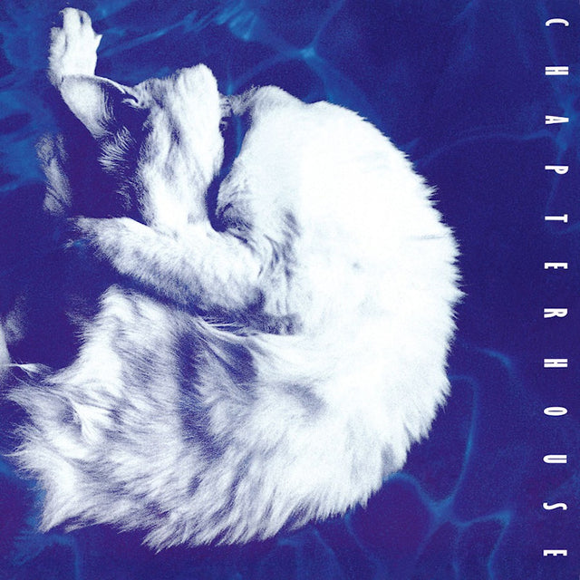Chapterhouse - Whirlpool (CD) - Velvet Music
