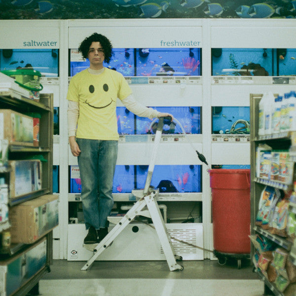 Charlie Hickey - Count the stairs (LP) - Velvet Music