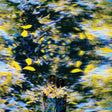 Chaton Laveur - Labyrinthe (LP) - Velvet Music