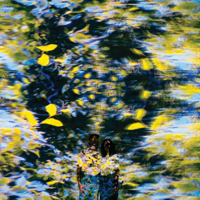 Chaton Laveur - Labyrinthe (LP) - Velvet Music